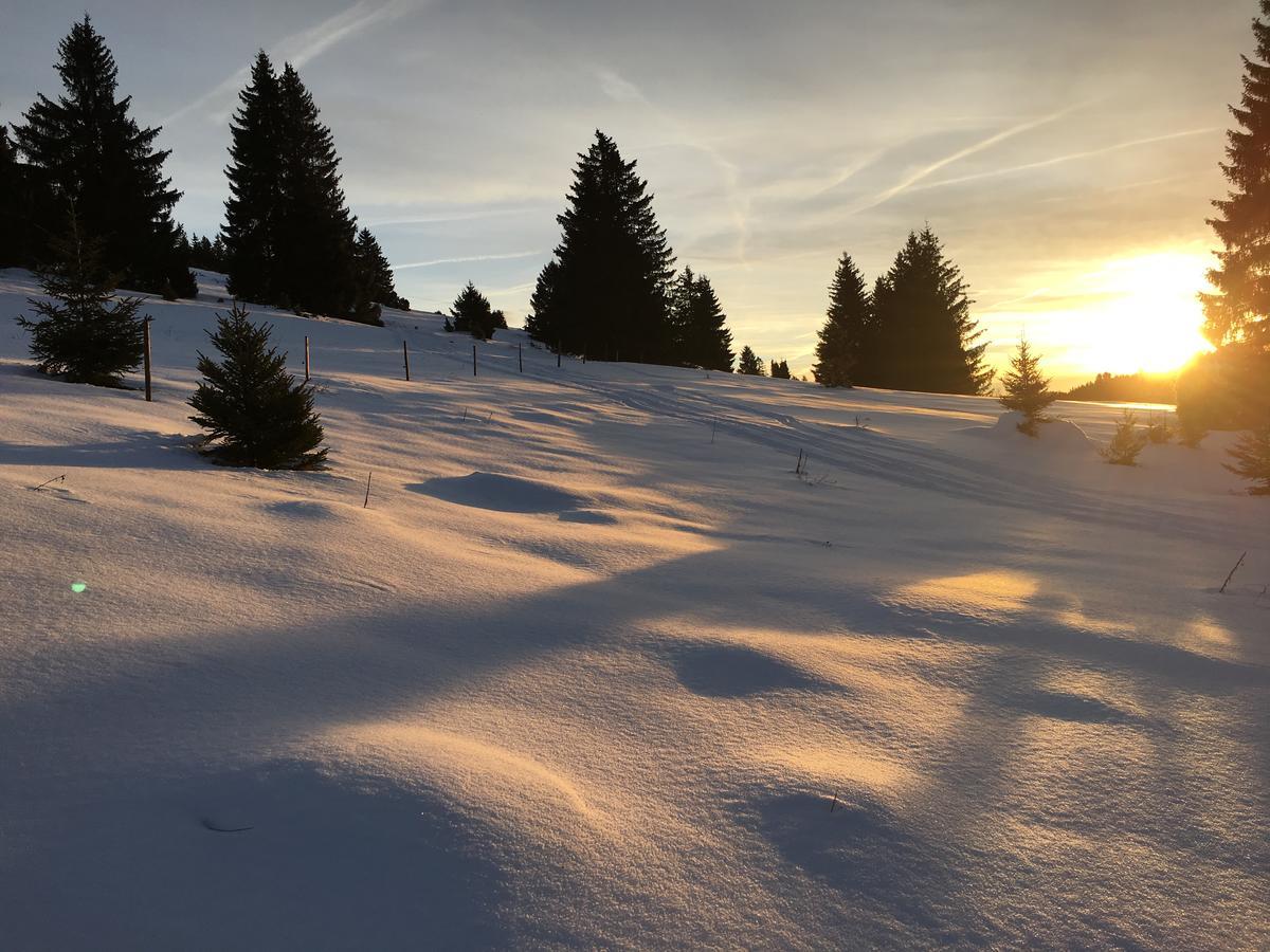 Schwarzwald-Hotel Kraeutle Фельдберг Екстер'єр фото